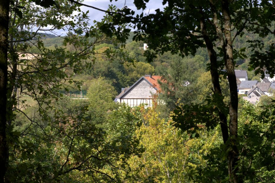 Efeu überwuchert alten Schieferdachfirst
