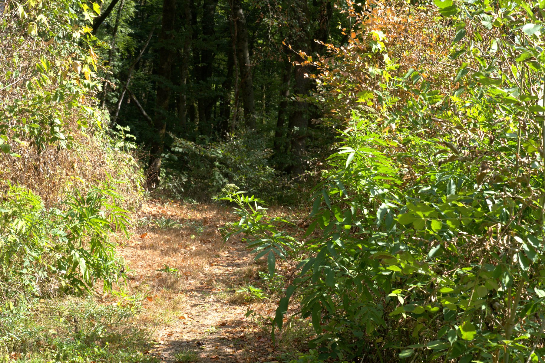 Weiselberg Gipfeltour