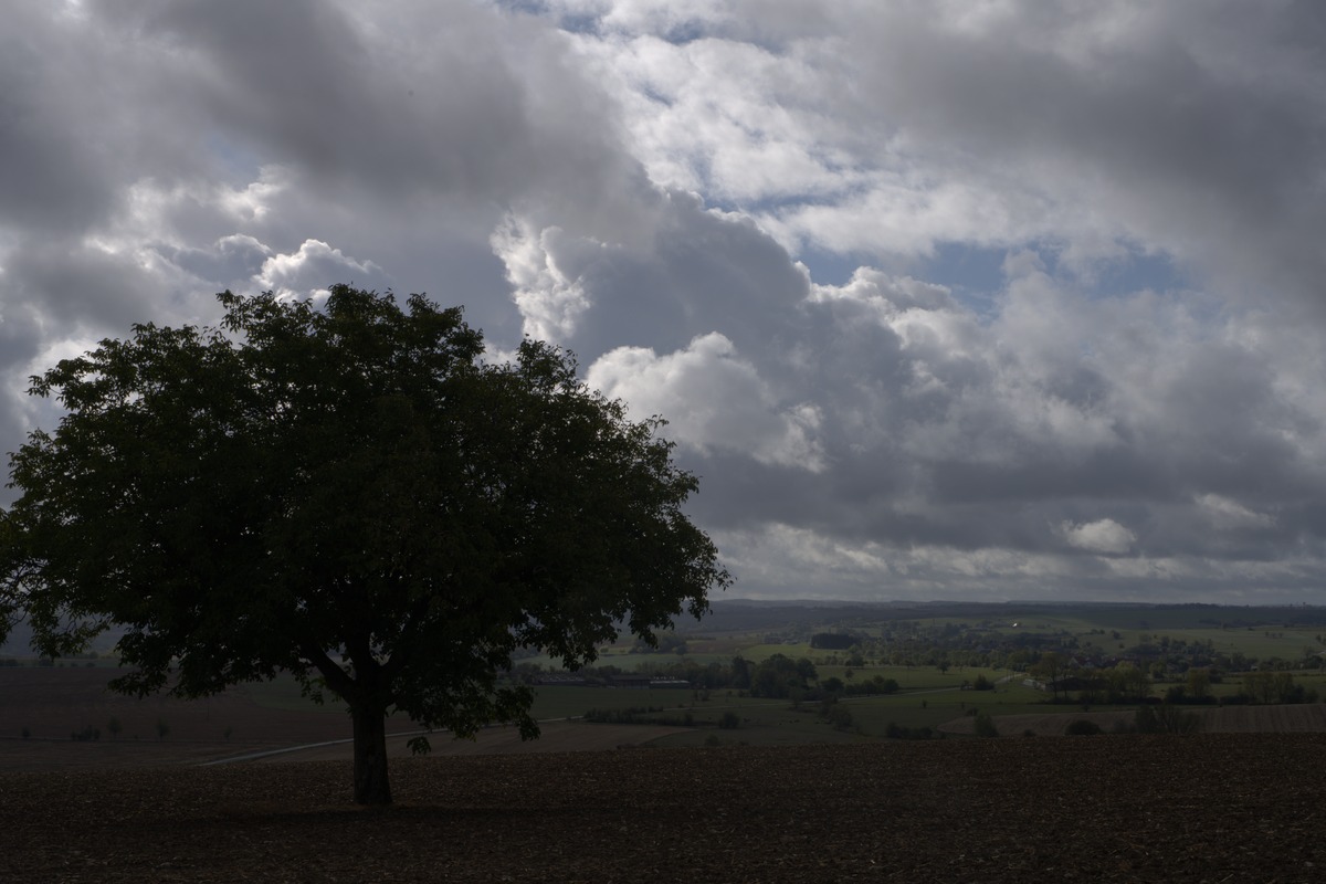 Einsamer Baum als Silhouette vor Wolkenhimmel und Tal auf dem Grenzgänger Wanderweg Blieskastel