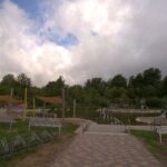Naturufer am Bostalsee mit Schilf und Weitsicht