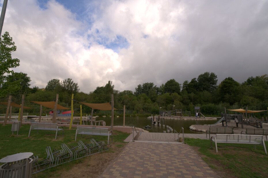 Naturufer am Bostalsee mit Schilf und Weitsicht