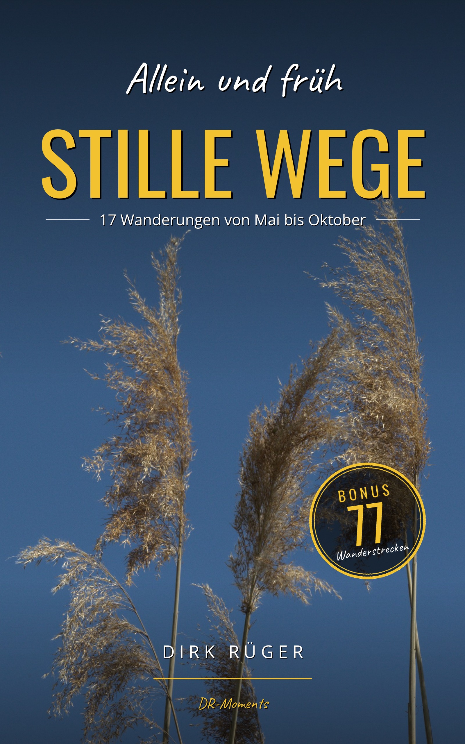 Buchcover „Stille Wege“ von Dirk Rüger