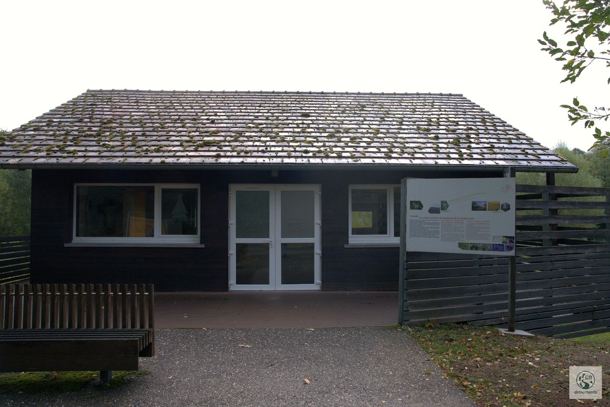 Kleines Informationszentrum aus Holz mit Infotafel auf dem Grenzgänger Wanderweg Blieskastel