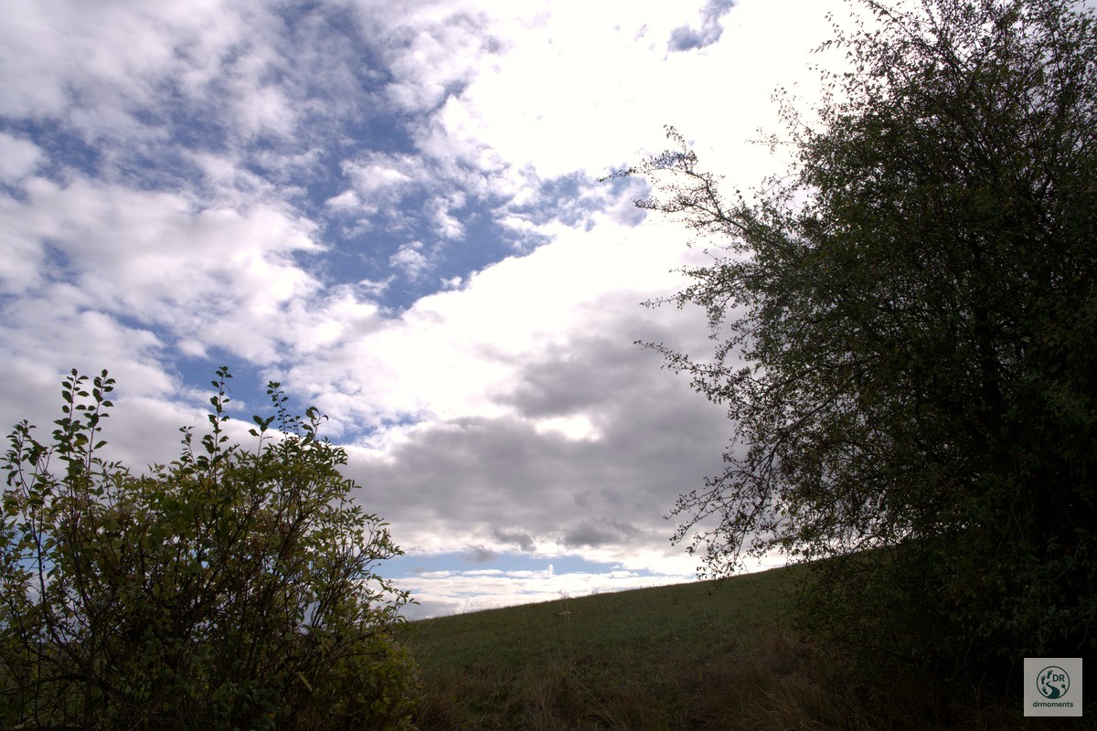 Hügellandschaft mit Büschen und Wolkenhimmel auf dem Grenzgänger Blieskastel Wanderweg